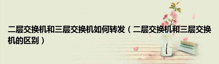 二层交换机和三层交换机如何转发（二层交换机和三层交换机的区别）