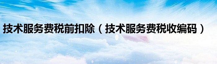 技术服务费税前扣除（技术服务费税收编码）