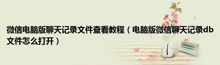 微信电脑版聊天记录文件查看教程（电脑版微信聊天记录db文件怎么打开）