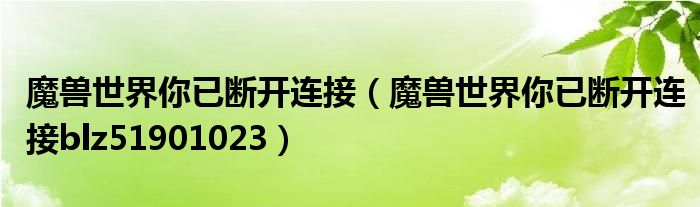 魔兽世界你已断开连接（魔兽世界你已断开连接blz51901023）