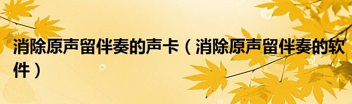 消除原声留伴奏的声卡（消除原声留伴奏的软件）