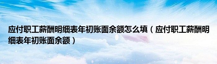 应付职工薪酬明细表年初账面余额怎么填（应付职工薪酬明细表年初账面余额）