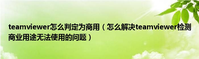 teamviewer怎么判定为商用（怎么解决teamviewer检测商业用途无法使用的问题）