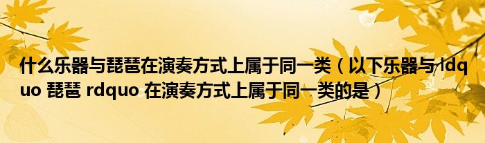 什么乐器与琵琶在演奏方式上属于同一类（以下乐器与 ldquo 琵琶 rdquo 在演奏方式上属于同一类的是）
