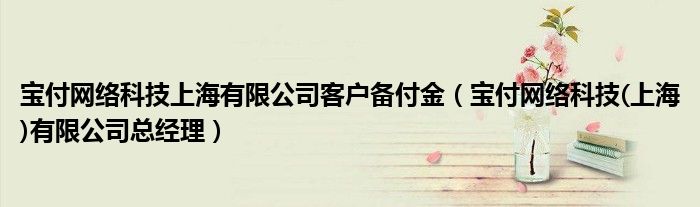 宝付网络科技上海有限公司客户备付金（宝付网络科技(上海)有限公司总经理）
