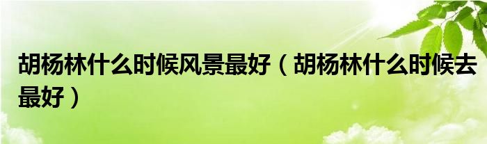 胡杨林什么时候风景最好（胡杨林什么时候去最好）