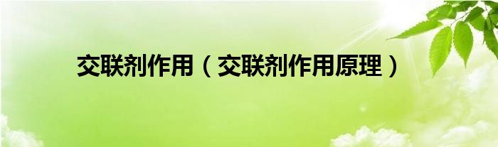 交联剂作用（交联剂作用原理）