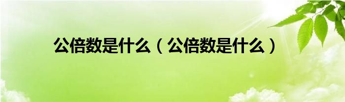 公倍数是什么（公倍数是什么）