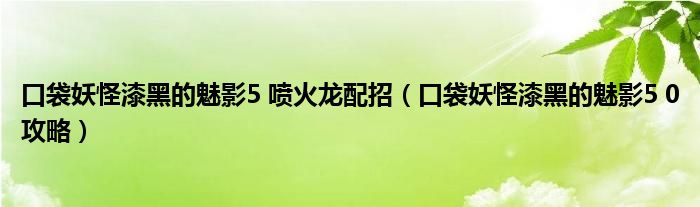 口袋妖怪漆黑的魅影5 喷火龙配招（口袋妖怪漆黑的魅影5 0攻略）