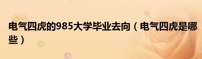 电气四虎的985大学毕业去向（电气四虎是哪些）