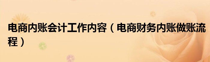 电商内账会计工作内容（电商财务内账做账流程）