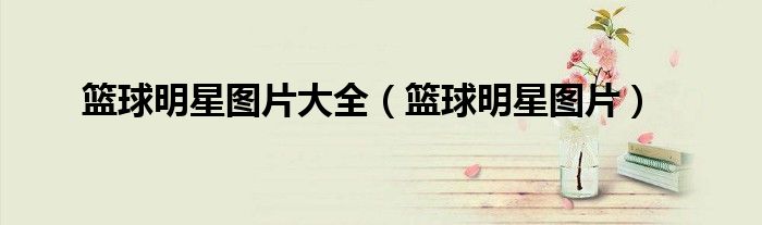 篮球明星图片大全（篮球明星图片）