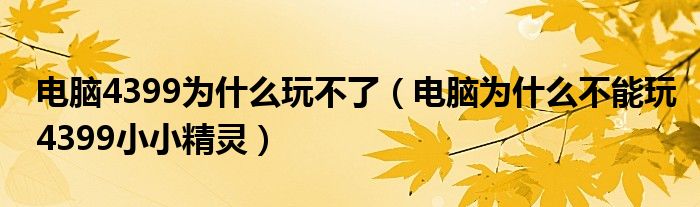 电脑4399为什么玩不了（电脑为什么不能玩4399小小精灵）