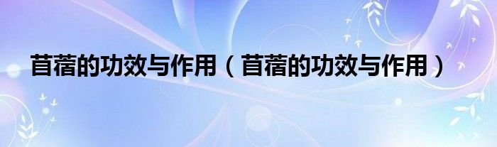 苜蓿的功效与作用（苜蓿的功效与作用）