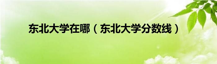 东北大学在哪（东北大学分数线）