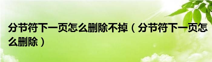 分节符下一页怎么删除不掉（分节符下一页怎么删除）