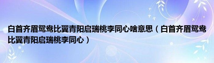 白首齐眉鸳鸯比翼青阳启瑞桃李同心啥意思（白首齐眉鸳鸯比翼青阳启瑞桃李同心）
