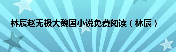 林辰赵无极大魏国小说免费阅读（林辰）