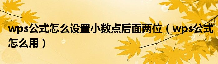wps公式怎么设置小数点后面两位（wps公式怎么用）