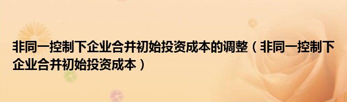 非同一控制下企业合并初始投资成本的调整（非同一控制下企业合并初始投资成本）