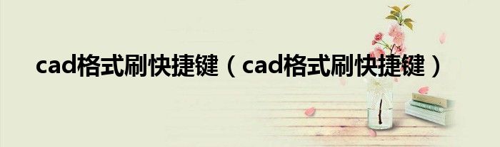 cad格式刷快捷键（cad格式刷快捷键）