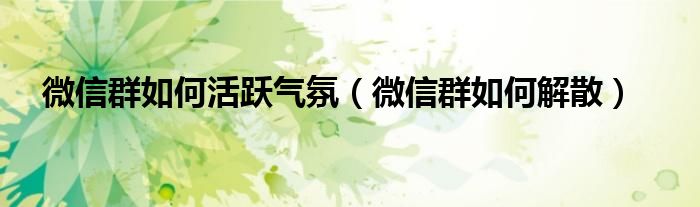 微信群如何活跃气氛（微信群如何解散）