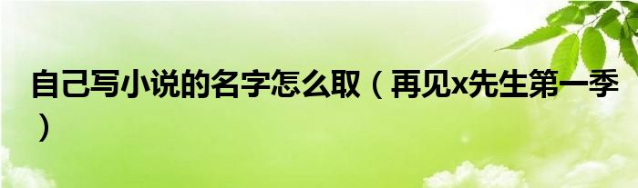 自己写小说的名字怎么取（再见x先生第一季）