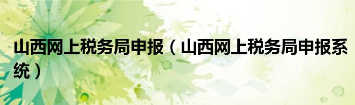 山西网上税务局申报（山西网上税务局申报系统）