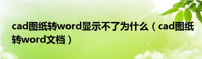 cad图纸转word显示不了为什么（cad图纸转word文档）