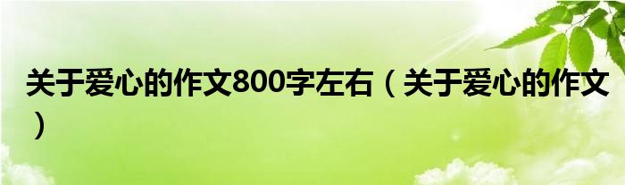 关于爱心的作文800字左右（关于爱心的作文）