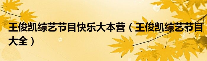 王俊凯综艺节目快乐大本营（王俊凯综艺节目大全）