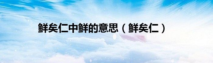 鲜矣仁中鲜的意思（鲜矣仁）