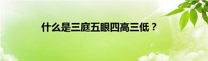 什么是三庭五眼四高三低？