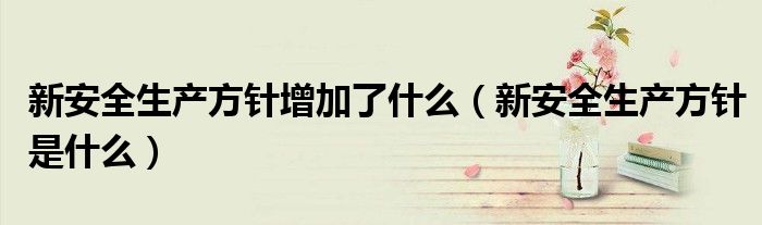 新安全生产方针增加了什么（新安全生产方针是什么）