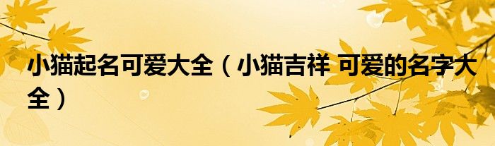 小猫起名可爱大全（小猫吉祥 可爱的名字大全）