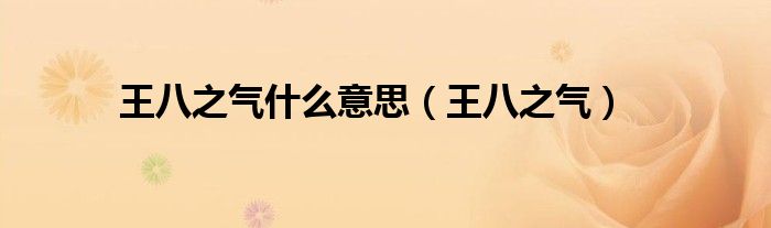 王八之气什么意思（王八之气）