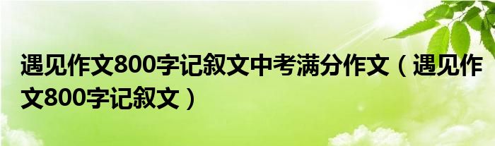 遇见作文800字记叙文中考满分作文（遇见作文800字记叙文）