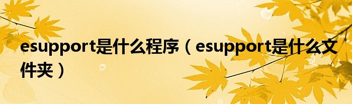esupport是什么程序（esupport是什么文件夹）