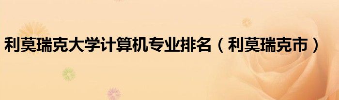 利莫瑞克大学计算机专业排名（利莫瑞克市）