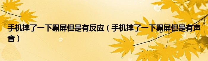 手机摔了一下黑屏但是有反应（手机摔了一下黑屏但是有声音）