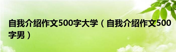 自我介绍作文500字大学（自我介绍作文500字男）