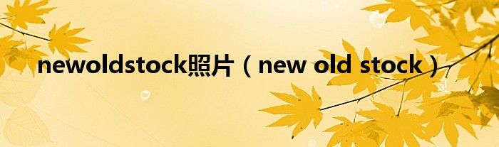 newoldstock照片（new old stock）