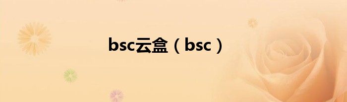 bsc云盒（bsc）