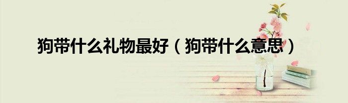 狗带什么礼物最好（狗带什么意思）