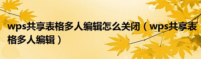 wps共享表格多人编辑怎么关闭（wps共享表格多人编辑）