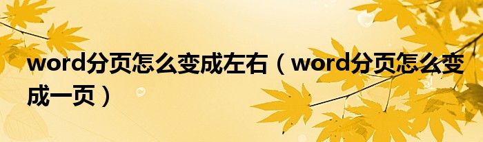 word分页怎么变成左右（word分页怎么变成一页）