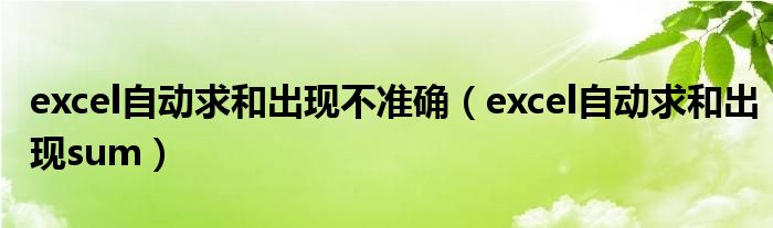 excel自动求和出现不准确（excel自动求和出现sum）
