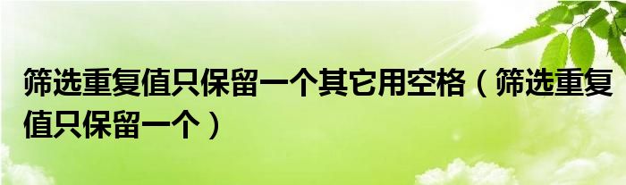 筛选重复值只保留一个其它用空格（筛选重复值只保留一个）