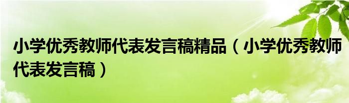 小学优秀教师代表发言稿精品（小学优秀教师代表发言稿）
