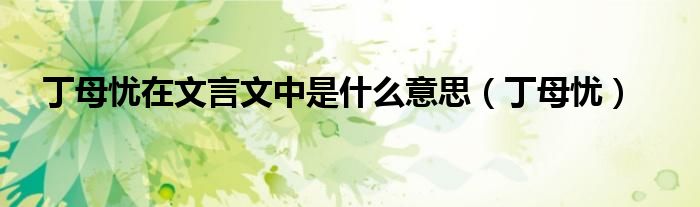 丁母忧在文言文中是什么意思（丁母忧）